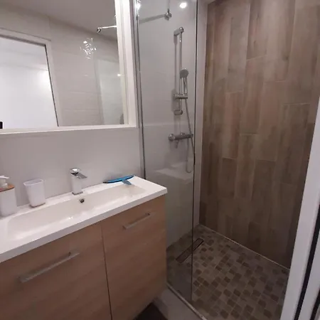 Апартаменти De La Roquille Агд